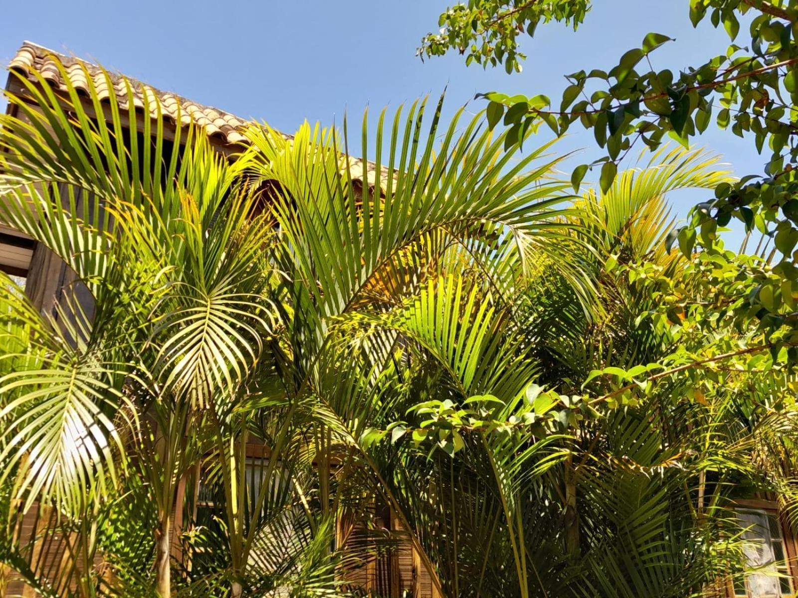 Recanto Das Bromelias Chales Guarda do Embau Exterior photo